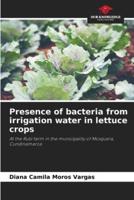 Presence of Bacteria from Irrigation Water in Lettuce Crops