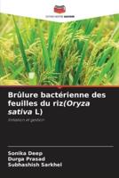 Brûlure Bactérienne Des Feuilles Du riz(Oryza Sativa L)