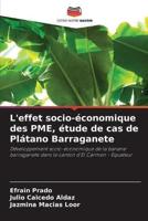 L'effet Socio-Économique Des PME, Étude De Cas De Plátano Barraganete