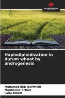 Haplodiploidization in Durum Wheat by Androgenesis