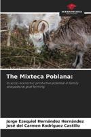 The Mixteca Poblana