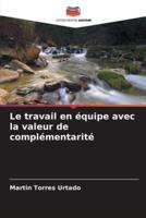 Le Travail En Équipe Avec La Valeur De Complémentarité