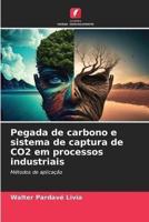 Pegada de carbono e sistema de captura de CO2 em processos industriais