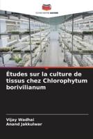 Études sur la culture de tissus chez Chlorophytum borivilianum