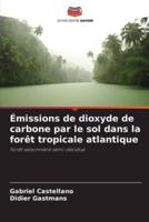 Émissions De Dioxyde De Carbone Par Le Sol Dans La Forêt Tropicale Atlantique