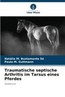 Traumatische Septische Arthritis Im Tarsus Eines Pferdes