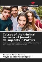 Causes of the Criminal Behavior of Juvenile Delinquents in Palmira