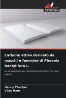 Carbone Attivo Derivato Da Maschi E Femmine Di Phoenix Dactylifera L.