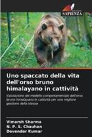 Uno Spaccato Della Vita Dell'orso Bruno Himalayano in Cattività
