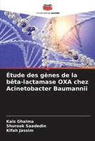 Étude Des Gènes De La Bêta-Lactamase OXA Chez Acinetobacter Baumannii
