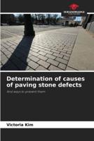 Determination of Causes of Paving Stone Defects