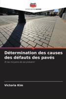 Détermination Des Causes Des Défauts Des Pavés