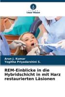 REM-Einblicke in Die Hybridschicht in Mit Harz Restaurierten Läsionen
