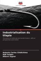 Industrialisation Du Tilapia