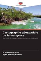 Cartographie Géospatiale De La Mangrove