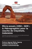 Micro-Essais (XRD; SEM; & Pétrographie) Pour La Couche De Clayshale, Indonésie