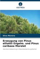 Erzeugung Von Pinus Elliottii Engelm. Und Pinus Caribaea Morelet