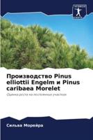 Производство Pinus Elliottii Engelm И Pinus Caribaea Morelet