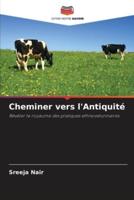 Cheminer Vers l'Antiquité