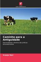 Caminho Para a Antiguidade