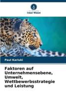 Faktoren Auf Unternehmensebene, Umwelt, Wettbewerbsstrategie Und Leistung