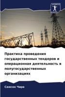 Praktika prowedeniq gosudarstwennyh tenderow i operacionnaq deqtel'nost' w polugosudarstwennyh organizaciqh