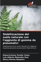 Stabilizzazione Del Suolo Naturale Con L'aggiunta Di Gomma Da Pneumatici