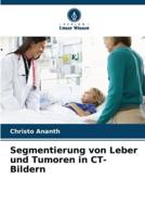 Segmentierung Von Leber Und Tumoren in CT-Bildern