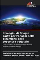 Immagini Di Google Earth Per L'analisi Delle Dinamiche Della Copertura Vegetale