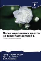 Посев Однолетних Цветов На Jasminum Sambac L