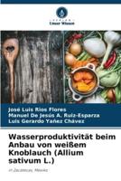 Wasserproduktivität Beim Anbau Von Weißem Knoblauch (Allium Sativum L.)