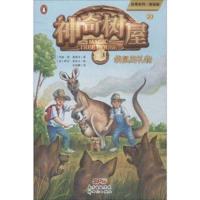 Dingoes at Dinnertime (Magic Tree House, Vol. 20 of 28)