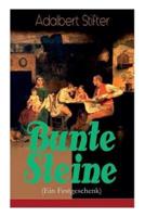 Bunte Steine (Ein Festgeschenk): Ein Jugendbuch des Autors von "Der Nachsommer", "Witiko" und "Der Hochwald"