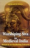 Worshiping ÔSiva in Medieval India