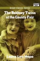 Bobbsey Twins at the County Fair