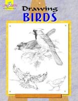 Drawing Birds