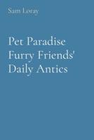 Pet Paradise Furry Friends' Daily Antics