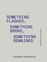 Something Flashed, Something Broke, Something Remained