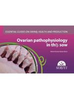 Ovarian Pathophysiology in the Sow - Essential Guides on Swine Health and Production