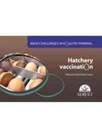 Hatchery Vaccination. Main Challenges in Poultry Farming