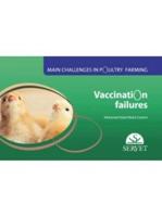 Vaccination Failures. Main Challenges in Poultry Farming