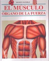 El Musculo