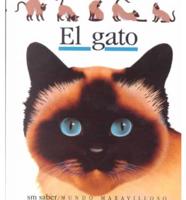 El Gato/Cats