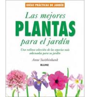 Las Mejores Plantas Para El Jardín