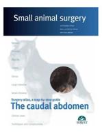 The Caudal Abdomen. Small Animal Surgery