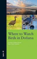 Where to Watch Birds in Donana