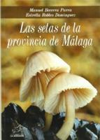 Las Setas De La Provincia De Malaga