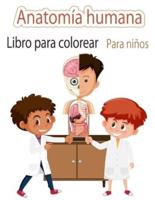 Anatomía Humana Libro Para Colorear Para Niños
