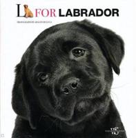 L for Labrador