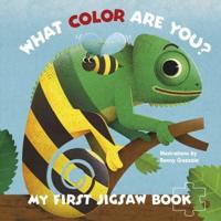 My First Jigsaw Book: What Color Are You?
